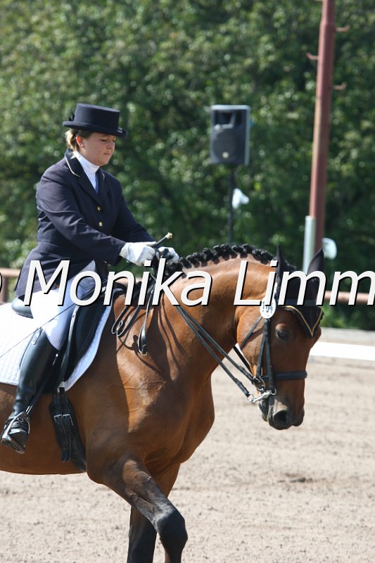 009M0039_Rascal_Dressur L.JPG